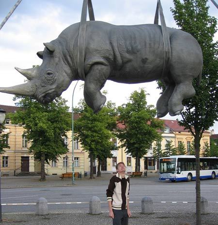 The Hanging Rhino