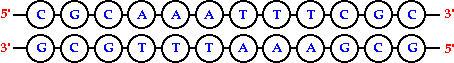 2D representation of chime model