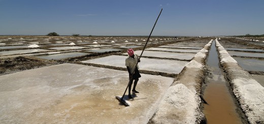 Salt Pans Marakkanam