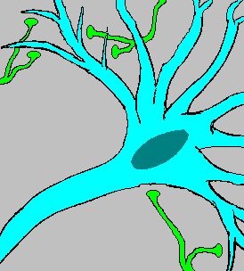 Neuronfire