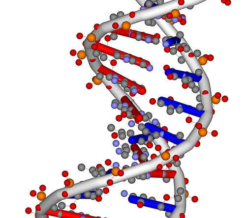 DNA