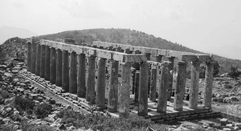 Βάσσες, Ναός Απόλλωνα