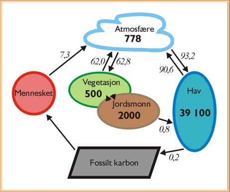 Bilde:Karbonkretsløp 2005.png