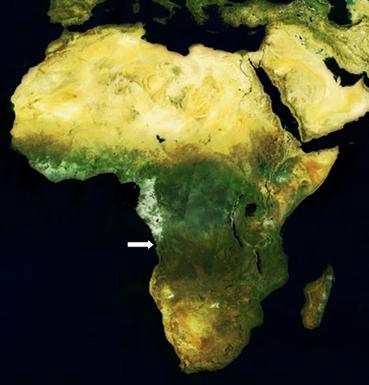 MERIS mosaic of Africa