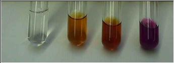 Iodine in water, ethanol, acetone and carbon tetrachloride.