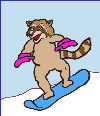 Raccoon snowboards Animation