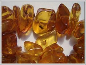 Image:Insects in baltic amber.jpg