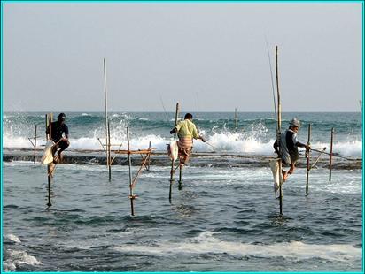 Image:Stilts fishermen Sri Lanka 02.jpg