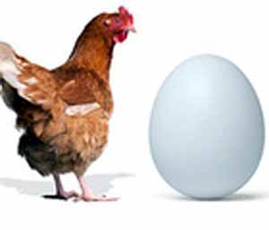 Κότα - Αβγό