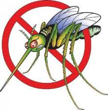 Όχι κουνούπια!