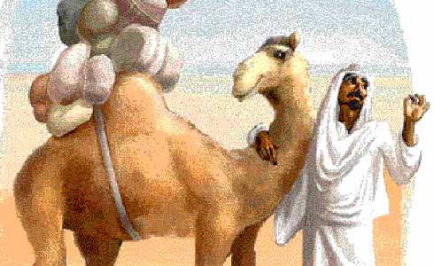 Η κομψή καμήλα και ο Αχμέτ