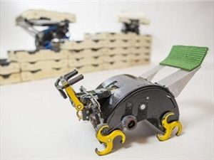 Τα ρομπότ - τερμίτες χτίζουν