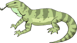 animated-lizard-image-0003.gif