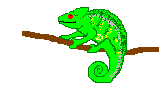 animated-iguana-image-0012.gif