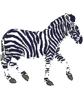 animated-zebra-image-0010.gif