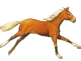 animated-horse-image-0291.gif
