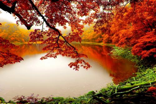 lakes-autumn-season-nature-lake-backgrounds
