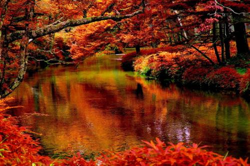 rivers-autumn-river-forest-season-nature-wallpaper-pictures-hd