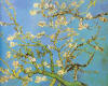 Vincent_Van_Gogh_almond_trees