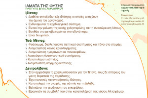 KARTA NEKTARIA NEA-02(2)