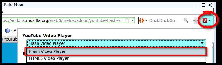snapshot_YouTube Flash Video Player