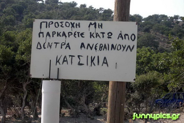 ΚΑΤΣΙΚΙ3