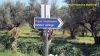 "Πηγές Κεφαλαρίου" του χωριού Βρύσες του δήμου Τριφυλίας νομού Μεσσηνίας. Απρίλιος 2011