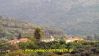 Το χωριό Βρύσες του δήμου Τριφυλίας Μεσσηνίας. Αύγουστος 2013