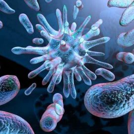 WebQuest-Παθογόνοι μικροοργανισμοί και ασθένειες