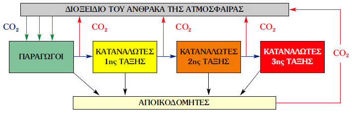 Ο κύκλος του άνθρακα