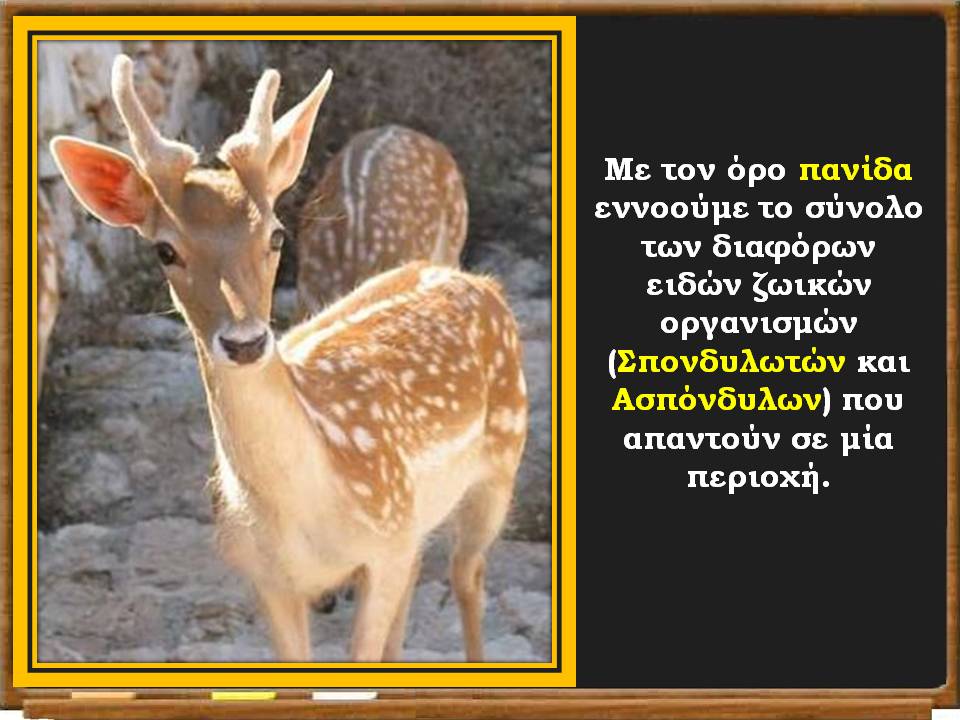 Διαφάνεια17