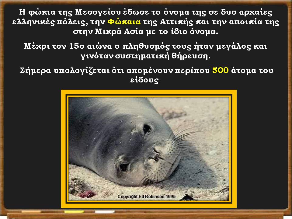 Διαφάνεια41