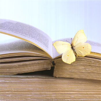 140014-butterfly-on-book