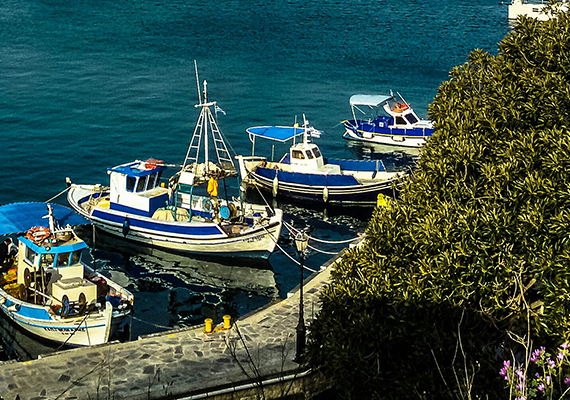 Γραφικό το λιμάνι της Κω με τις βάρκες των ψαράδων.