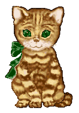 animated-cat-image-0079.gif